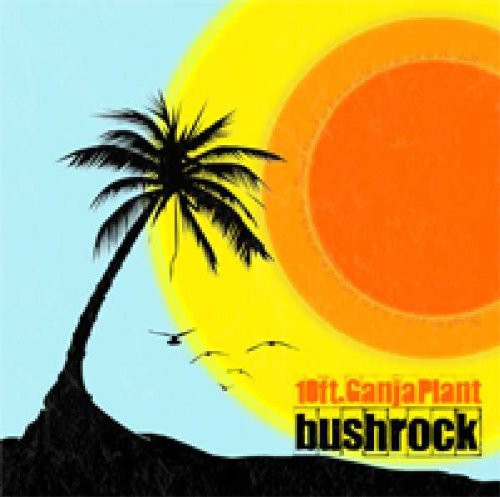 10 Ft. Ganja Plant Bush Rock - Record Album - Vinyl LP
