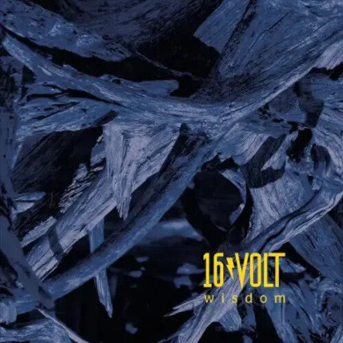 16Volt Wisdom - Record Album - Vinyl LP