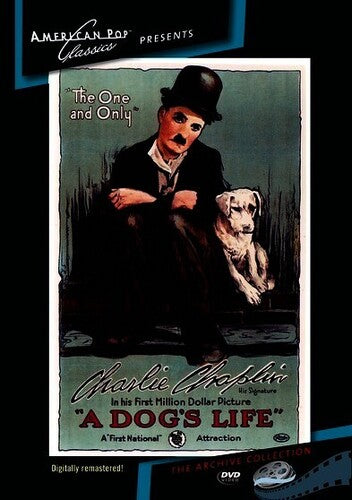 A Dog's Life - DVD