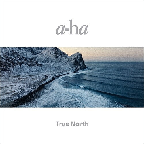 a-ha True North - 4-Disc Record Album - Vinyl LP