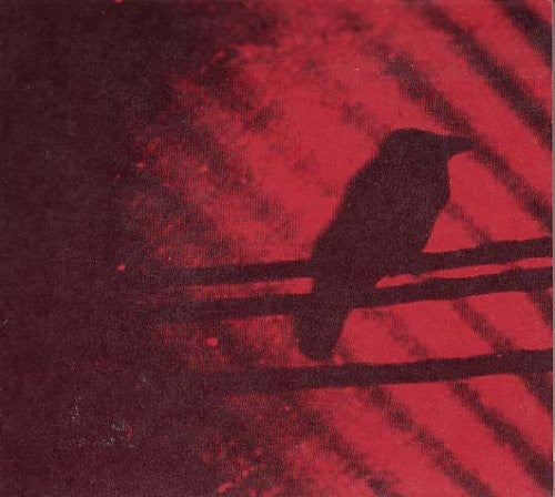 A Silver Mt. Zion Born Into Trouble As the Sparks Fly Upward - Record Album - Vinyl LP