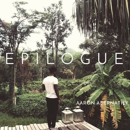 Aaron Abernathy Epilogue - Double Record Album - Vinyl LP