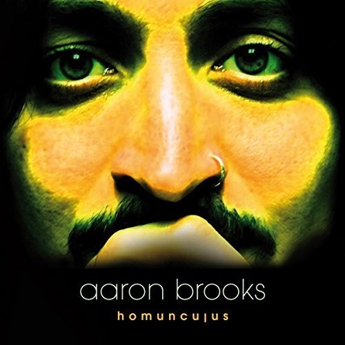 Aaron Brooks Homunculus - Record Album - Vinyl LP