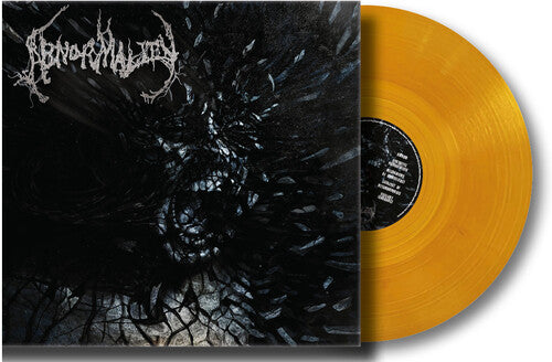 Abnormality Mechanisms Of Omniscience - Record Album - Vinyl LP
