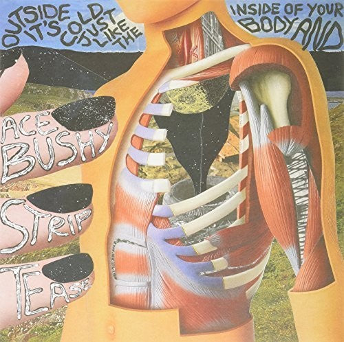 Ace Bushy Striptease Outside It's Cold Just Like the Inside of Your Bod - Record Album - Vinyl LP