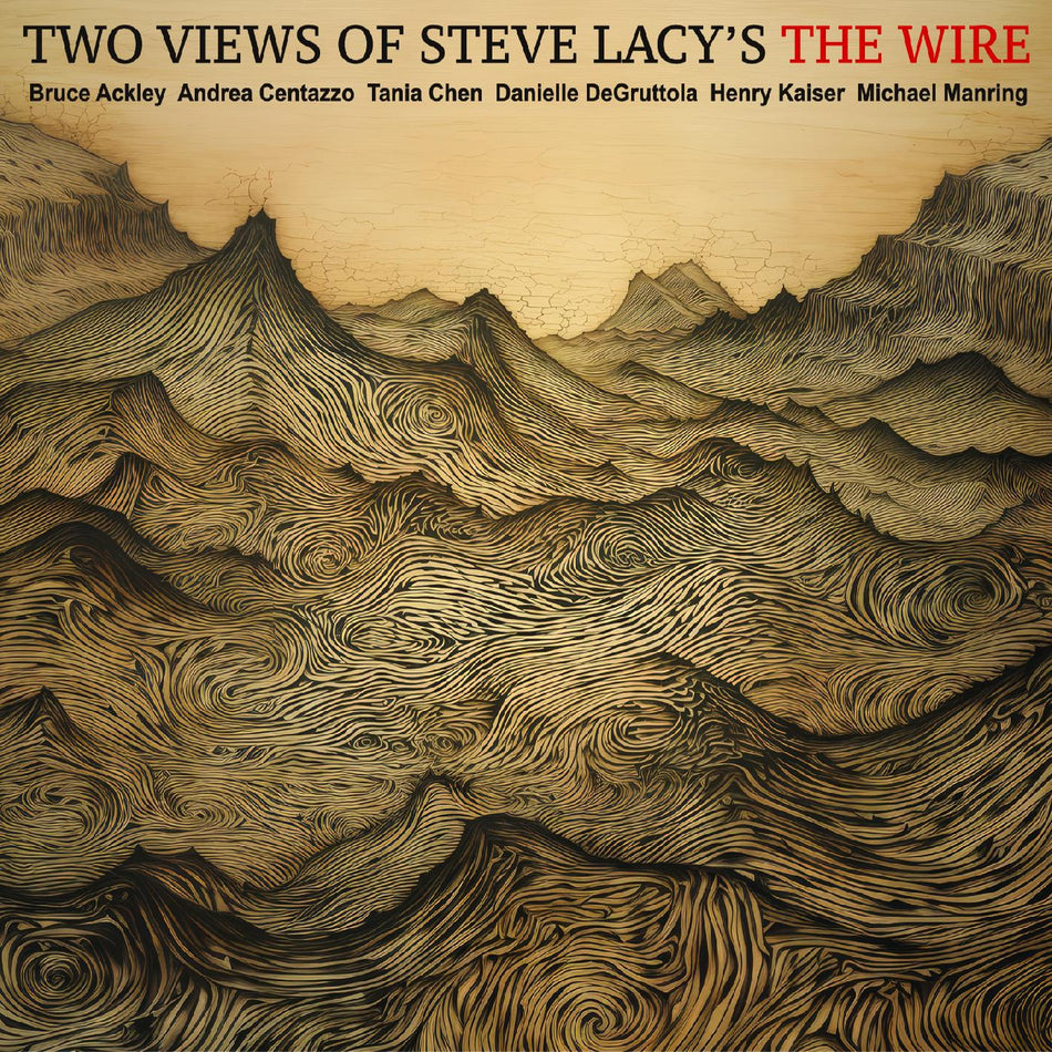 Ackley-Chen-Centazzo-DeGruttola-Kaiser-Manring TWO VIEWS OF STEVE LACYS THE WIRE