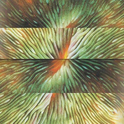 Active Surplus Mirroring - Record Album - Vinyl LP
