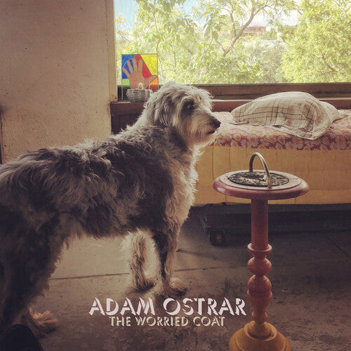 Adam Ostrar The Worried Coat - Record Album - Vinyl LP