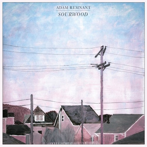 Adam Remnant Sourwood - Record Album - Vinyl LP