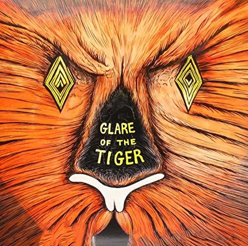 Adam Rudolph Glare of the Tiger - Record Album - Vinyl LP