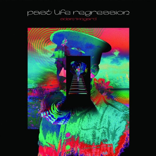 Adam Wingard Past Life Regression - Record Album - Vinyl LP