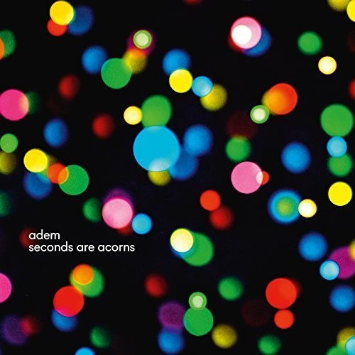 Adem Seconds Are Acorns - Record Album - Vinyl LP