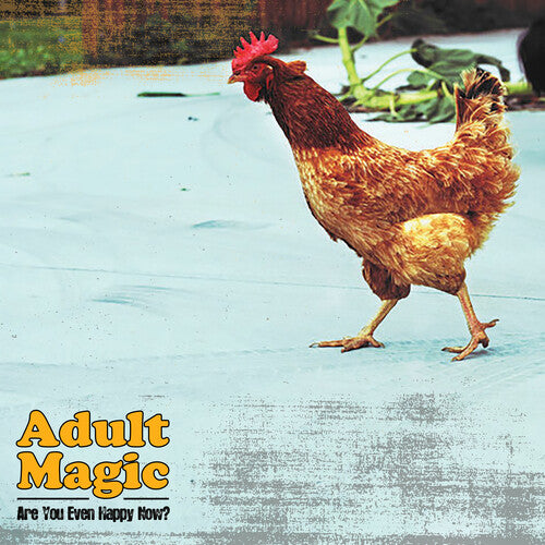Adult Magic Are You Even Happy Now? - Record Album - Vinyl LP