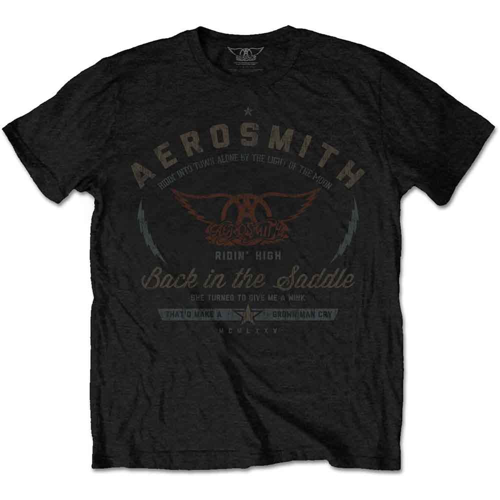 Aerosmith Back in the Saddle Black