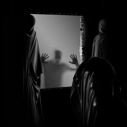 Aeviterne Ailing Facade - Record Album - Vinyl LP