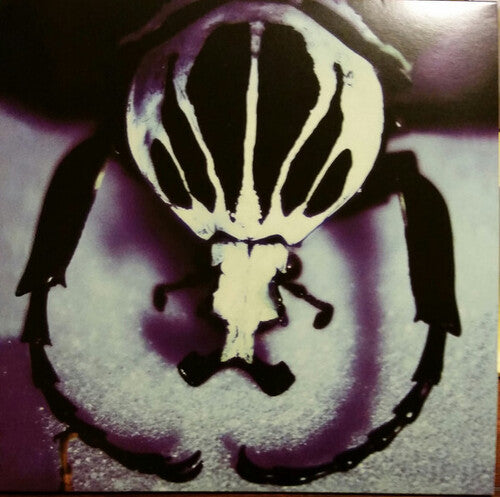 Age of Electric Make A Pest A Pet - Double Record Album - Vinyl LP