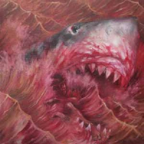 Akimbo Jersey Shores - Record Album - Vinyl LP