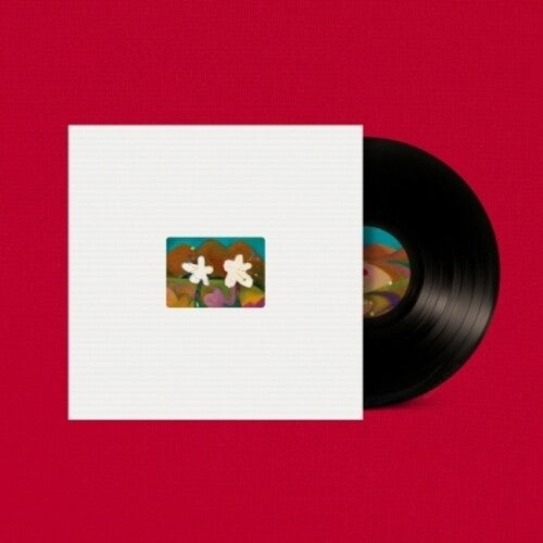 Akmu Flowering - Record Album - Vinyl LP
