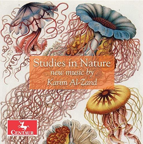Al-Zand / Roitstein / Hauschildt Studies in Nature - CD Album