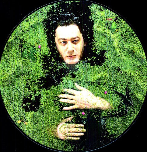 Alain Bashung Fantaisie Militaire - Record Album - Vinyl LP