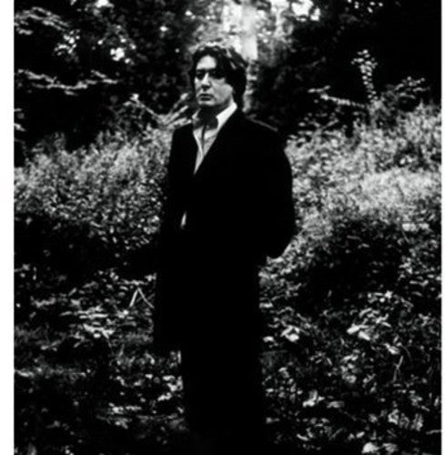 Alain Bashung L'imprudence - Double Record Album - Vinyl LP