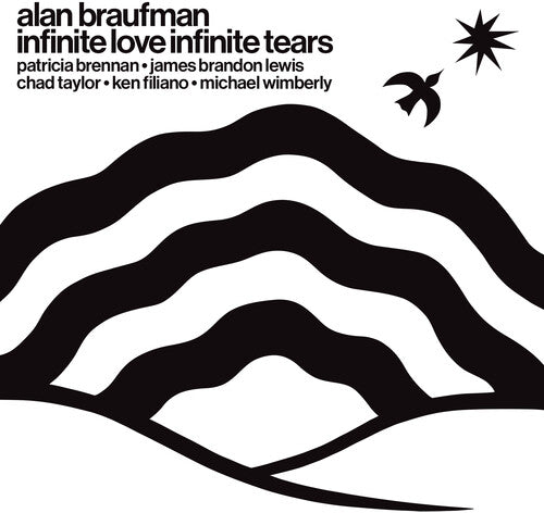 Alan Braufman Infinite Love Infinite Tears - Record Album - Vinyl LP