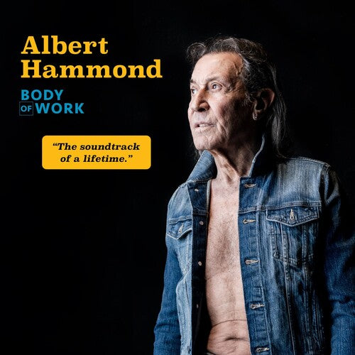 Albert Hammond Body Of Work - Double Record Album - Vinyl LP