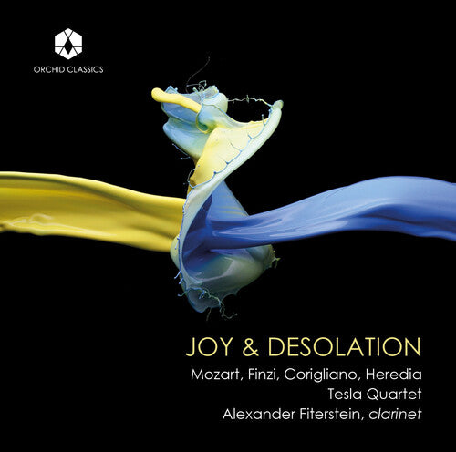 Alexander Fiterstein Joy & Desolation - CD Album
