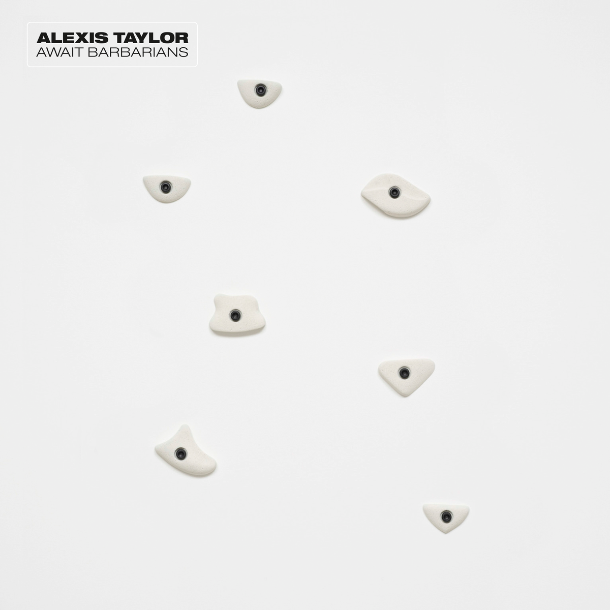 Alexis Taylor Await Barbarians