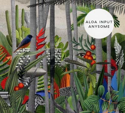 ALOA INPUT Anysome