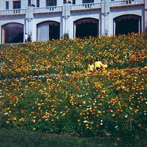 Altameda Time Hasn't Changed You - Record Album - Vinyl LP