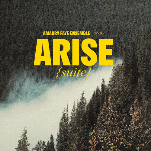 Amaury Ensemble Faye Arise (suite) - CD Album