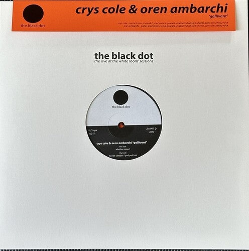 Ambarchi, Oren / Cole, Crys Gallivant - Record Album - Vinyl LP