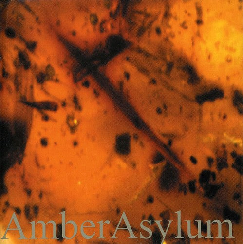 Amber Asylum Frozen in Amber - CD Album