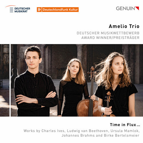 Amelio Trio Time in Flux - CD Album
