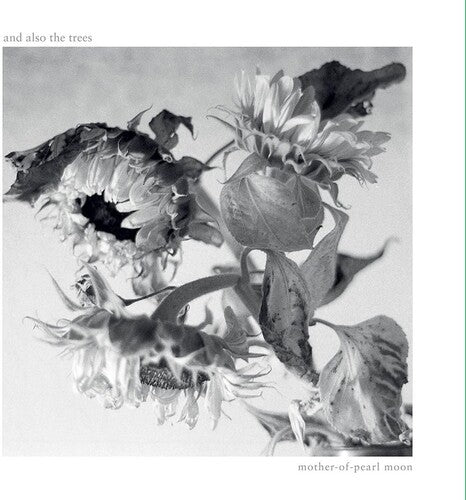 And Also The Trees Mother-Of-Pearl Moon - Record Album - Vinyl LP