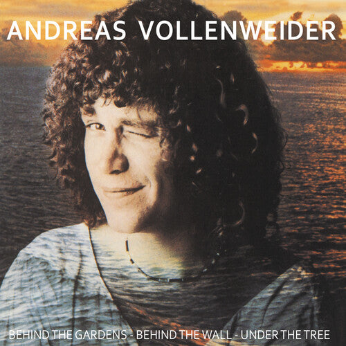 ANDREAS VOLLENWEIDER Behind The Gardens - Behind The Wall - Under The Tree - Record Album - Vinyl LP