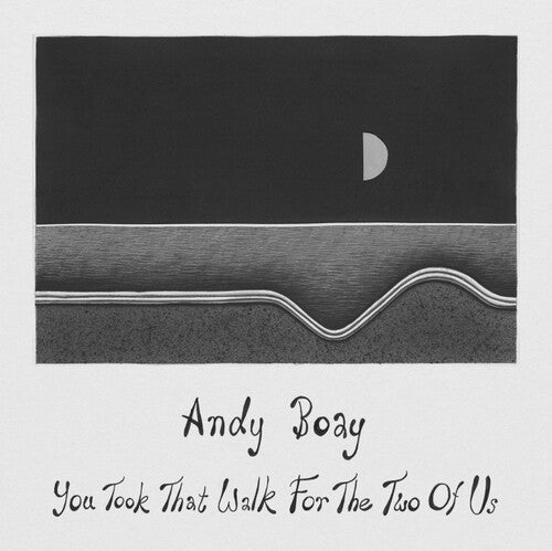 Andy Boay You Took That Walk For The Two Of Us - Record Album - Vinyl LP