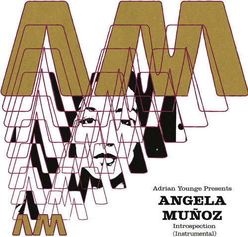 Angela Munoz Introspection (Instrumentals) - Record Album - Vinyl LP
