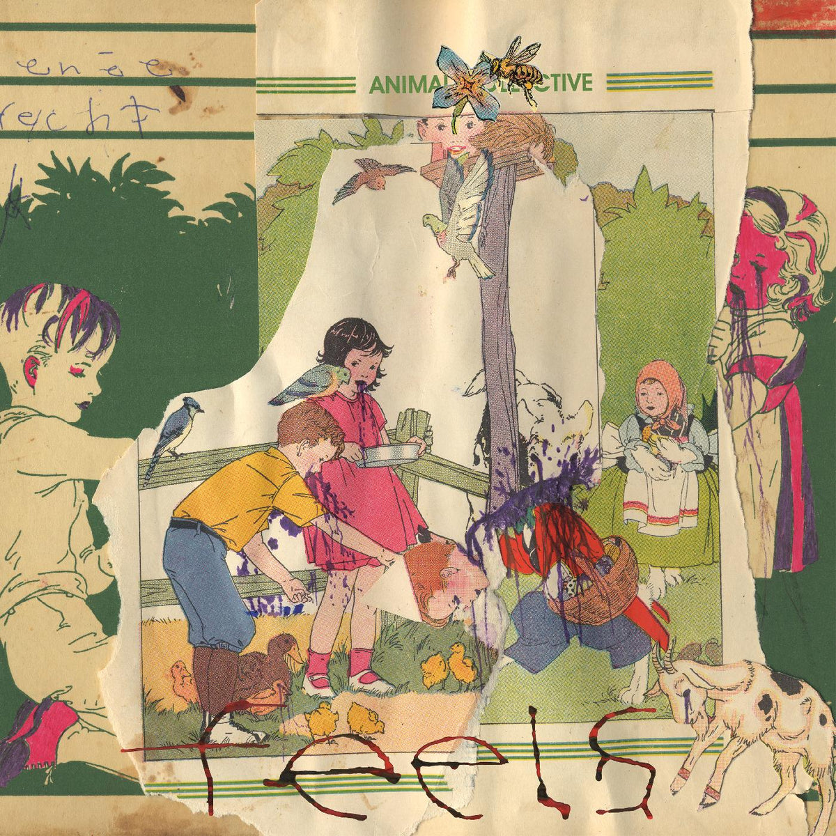 Animal Collective Feels
