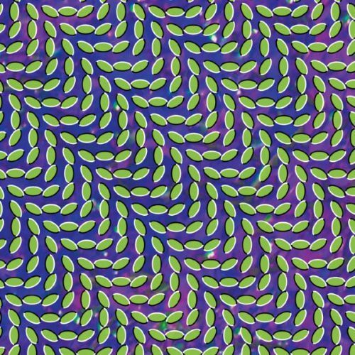 Animal Collective Merriweather Post Pavillion - Double Record Album - Vinyl LP