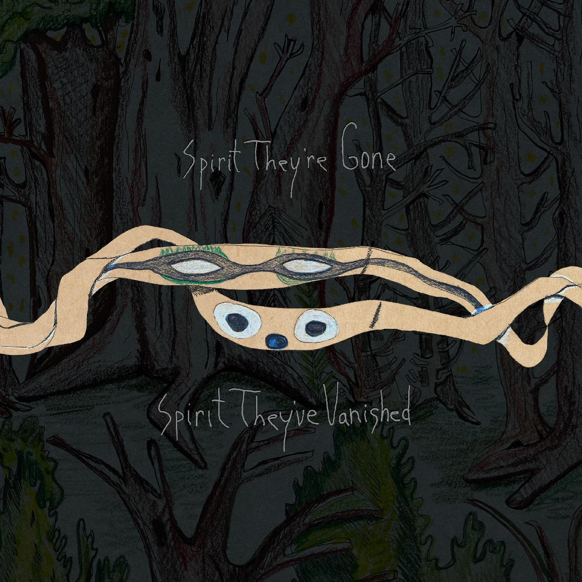 Animal Collective Spirit They're Gone, Spirit They've Vanished (Remastered 2023) (DELUXE EDITION)