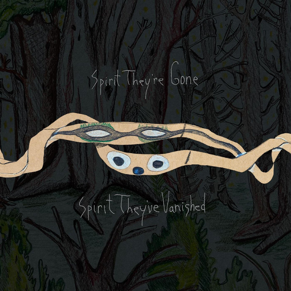 Animal Collective Spirit They're Gone, Spirit They've Vanished (Remastered 2023) (DELUXE EDITION)