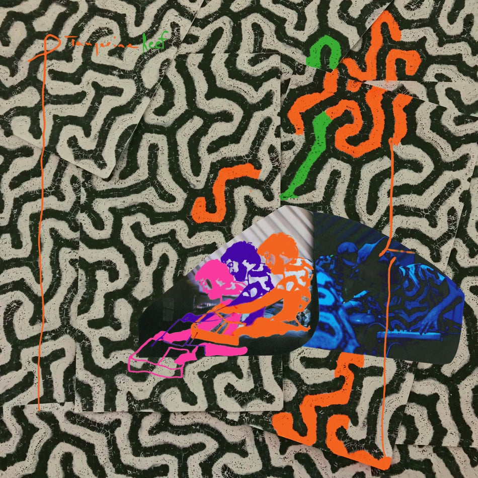 Animal Collective Tangerine Reef (2 Lp's)