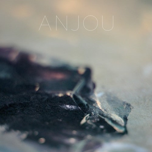 Anjou Epithymia - Record Album - Vinyl LP