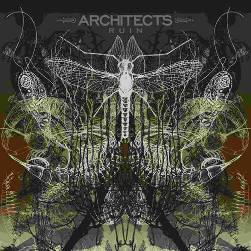 Architects Ruin - Record Album - Vinyl LP