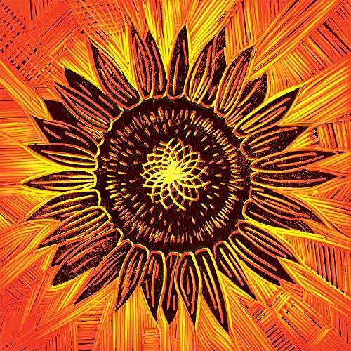Arkestra, Ronin Sonkei - Record Album - Vinyl LP