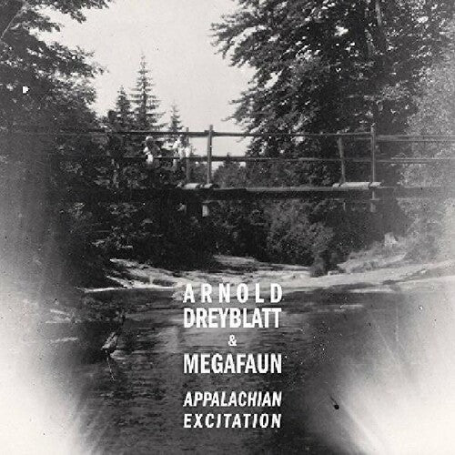 Arnold Dreyblatt & Megafaun Appalachian Excitation - Record Album - Vinyl LP