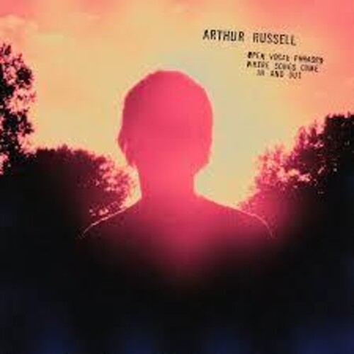 Arthur Russell Open Vocal Phrases: Where Songs Come In & Out-Sketches For World Of Echo - Double Record Album - Vinyl LP