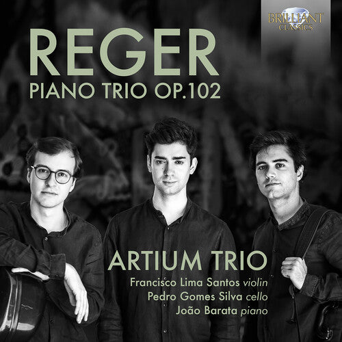 Artium Trio Piano Trio 102 - CD Album